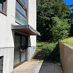 Cronenberger Mit Garten - Kontaktloses Einchecken, Netflix, Kingsize-bett