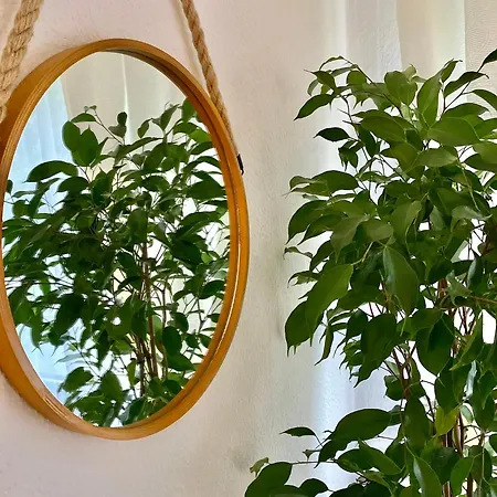 Cronenberger Mit Garten - Kontaktloses Einchecken, Netflix, Kingsize-bett *